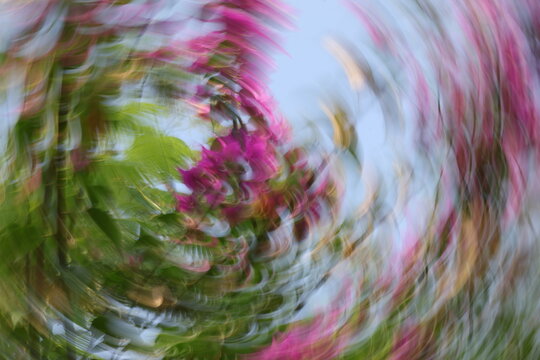 Abstract diagonal motion blur background of pink bougainvillea flowers and green leaves against a bright sky, dynamic artistic nature panning effect.