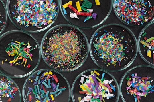 Samples of microplastic in petri dishes on black background, close up, top view