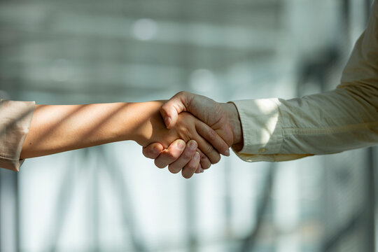 Business handshake sealing partnership in modern office