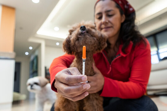 Woman holding syringe with pet in the background