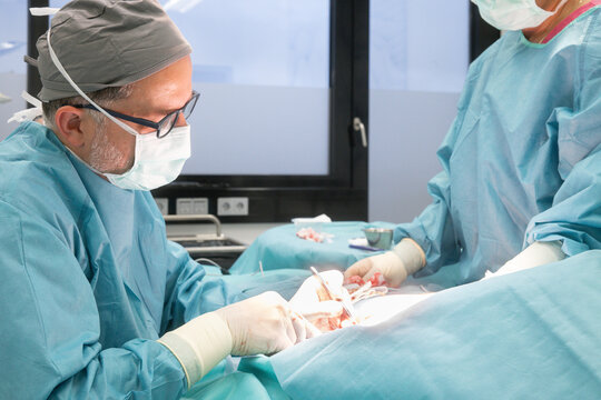 Surgeon performing breast reduction in operating room