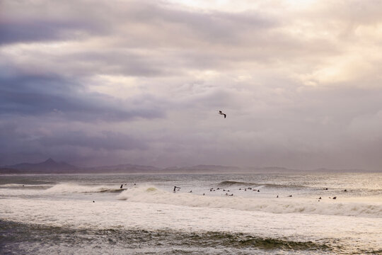 Surfers riding waves under a cloudy sky