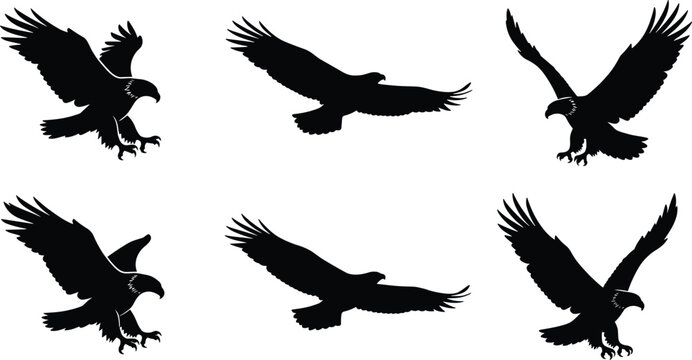 Collection of six black bald eagle vector silhouettes in various dynamic flying and attacking poses isolated on white background for wildlife and logo design