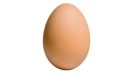Single brown chicken egg smooth shell texture, isolated on transparent background © Emilia