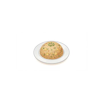 Fried Rice on Plate