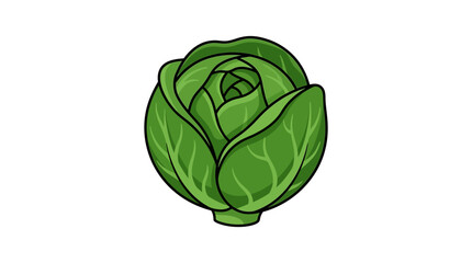 Fototapeta premium Fresh green cabbage head, a healthy and organic vegetable often used in salads and cooking, isolated cartoon illustration