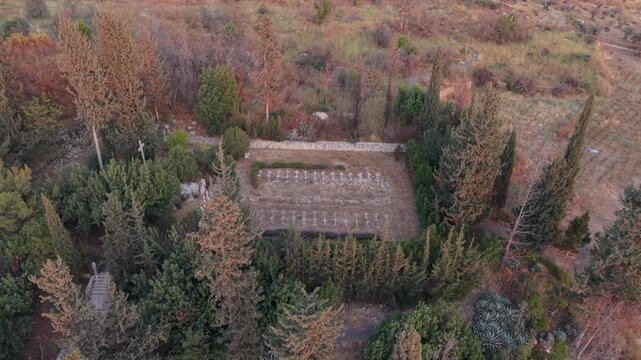 Aerial view of Latrun cemetery surrounded by cypress trees, monastery burial ground in Israel countryside
