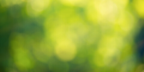 Fototapeta premium Defocused abstract natural background. Green defocused lights of plants.