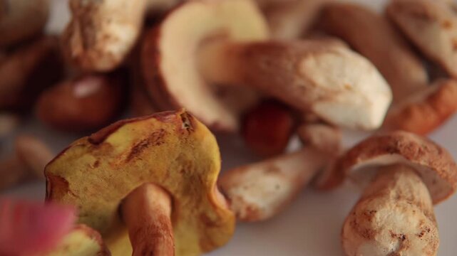 Fresh porcini mushrooms falling on a white background creating a pile of edible bolete fungus for cooking and eating