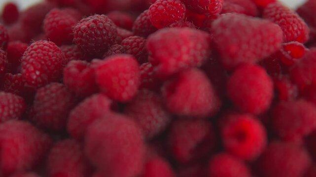 Macro shot of ripe, juicy red raspberries rotating. Abundant fresh berries representing healthy eating, summer harvest, and organic food