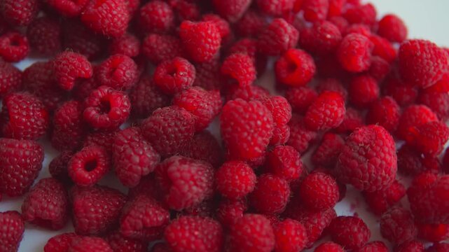 Fresh organic raspberries falling and bouncing in slow motion isolated on a white background, creating a vibrant fruit texture