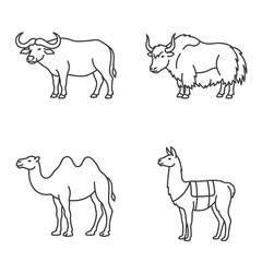 Obraz premium Line Art Icons of Farm Animals: Buffalo, Yak, Camel, Llama