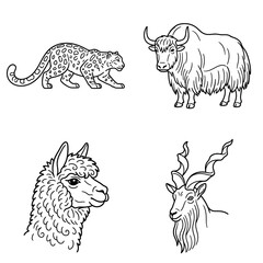 Obraz premium Wild Animals Collection: Snow Leopard, Yak, Llama, Markhor Goat Line Art