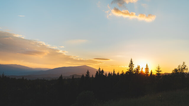 Beautiful sunset over the Carpathian mountains with sun rising or setting behind pine trees.