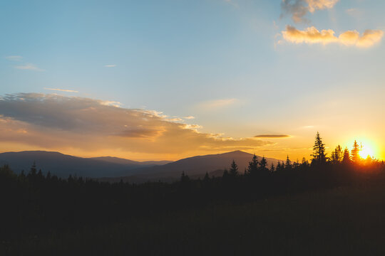 Beautiful sunset over the Carpathian mountains with sun rising or setting behind pine trees.
