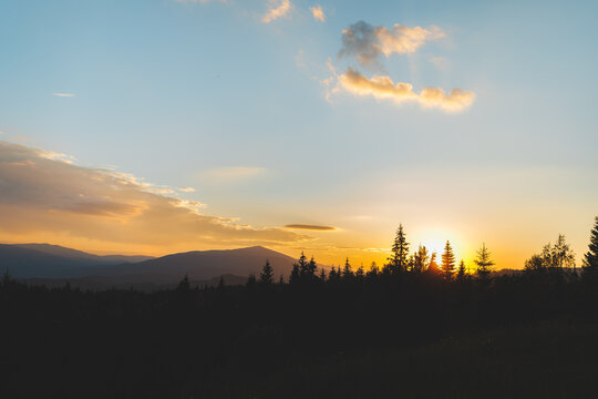 Beautiful sunset over the Carpathian mountains with sun rising or setting behind pine trees.