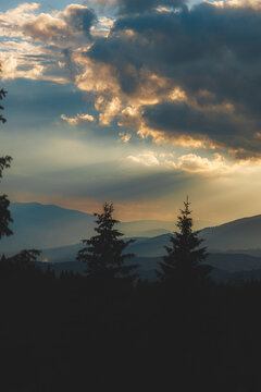 Beautiful sunset over the Carpathian mountains with sun rising or setting behind pine trees.