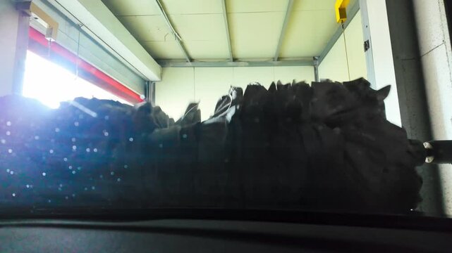 Automatic car wash, view from inside the car interior. High quality 4k footage