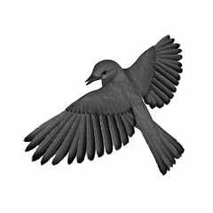 Fototapeta premium Small Flying Songbird with Open Wings Illustration