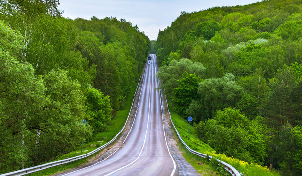Scenic asphalt road through a lush green summer forest, landscape photography