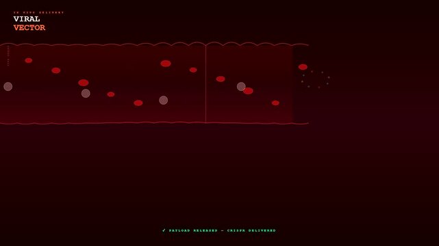 This medical animation shows how CRISPR Gene Therapy utilizes an AAV viral vector to navigate the bloodstream and deliver genetic material into target human cells precisely.