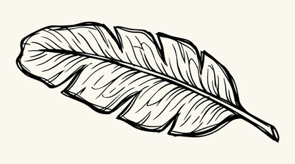 Hand Drawn Banana Leaf Line Art Vector © Bima