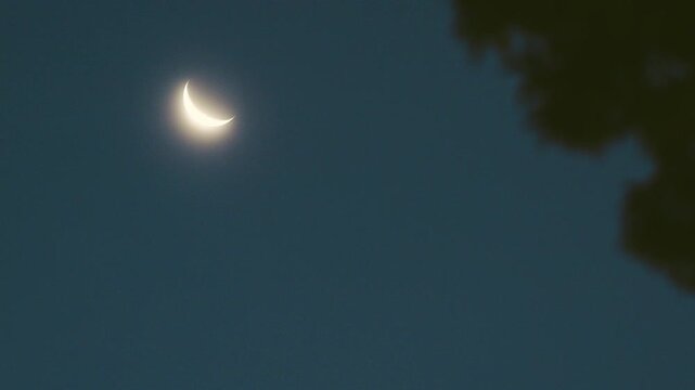 Tokyo, Japan - July 11, 2026: Half moon with earthshine shining between branches at dawn