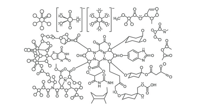 Sleek Black and White Chemical Structure Diagram of Complex Polymer or Dendrimer Molecule with Inset Monomer Units