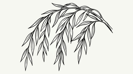Hand Drawn Willow Branch Line Art Vector © Bima