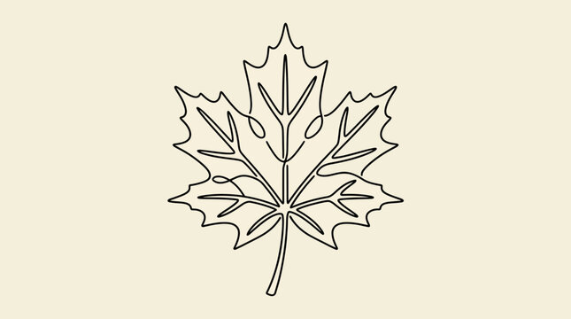 Maple Leaf Continuous Line Drawing Vector Illustration