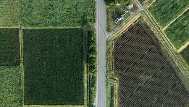 Top-down drone view of geometric rice fields and rural road in the Japanese countryside