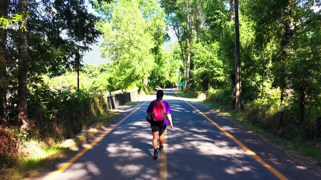 Drone Horizontal Forward Tracking Shot of a Traveler Walking Along a Forested Asphalt Road, Sunny Day, Chile