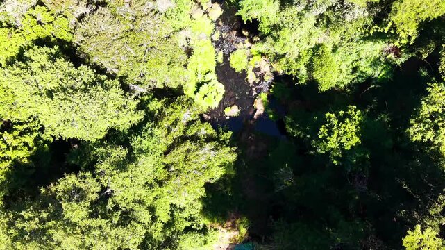 Aerial Vertical Forward flight Over Green Forest Trees Revealing a Hidden Deep Blue Water Pond, Chile