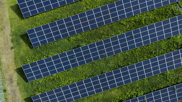 Top-down drone view of photovoltaic solar panels with green vegetation in rural Japan