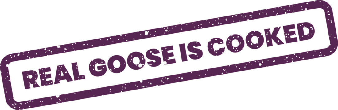 Authentic rubber stamp texture with the idiomatic phrase real goose is cooked in rectangular frame