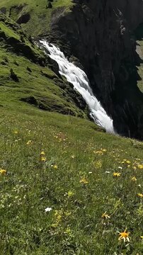 ​low angle shot of beautiful mountain waterfall cascading down green flower field