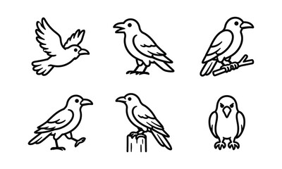 Fototapeta premium Raven bird vector icons in different poses for halloween graphic artwork.