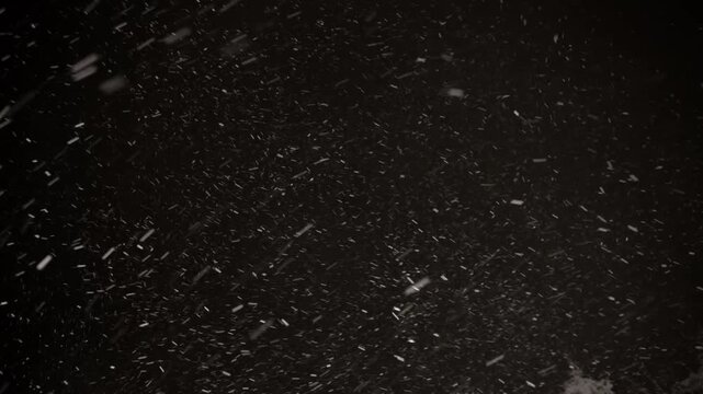 Feathery snowflakes dance through the air, swirling gracefully in a mesmerizing winter storm set against a dramatic black backdrop