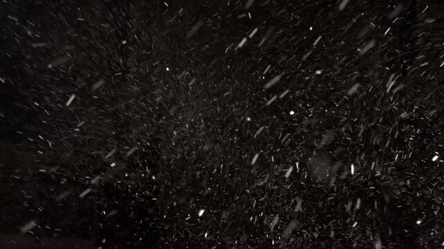 Witness the captivating dance of real snowflakes falling amid a dark backdrop, creating a dreamlike atmosphere filled with wonder and tranquility