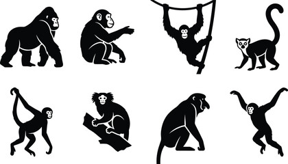 Set of black silhouettes of various monkeys and primates including gorilla, chimpanzee, lemur, and other exotic species © Sohel