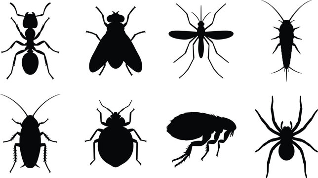 Black insect silhouettes collection featuring household pests like ant fly mosquito cockroach bed bug flea and spider icons isolated on white background