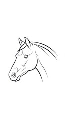 Fototapeta premium Elegant Horse Head Line Drawing Illustration.