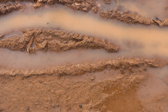 muddy puddle with tracks in it