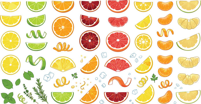Fresh citrus slices wedges and zests vector illustration set with orange lemon lime grapefruit mint and ice cubes for summer beverage marketing and packaging design