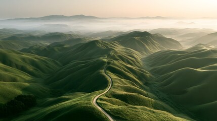 Aerial View of Winding Road Through Misty Green Hills at Sunrise © Tharshan