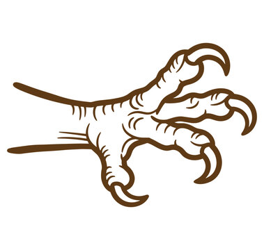 Brown and white illustration of a bird claw with sharp nails and detailed texture on white background