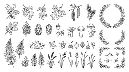 Vintage forest botanical line art collection, hand drawn autumn leaves and woodland elements vector set, rustic floral wreaths and pine cones © Dream Time Studio
