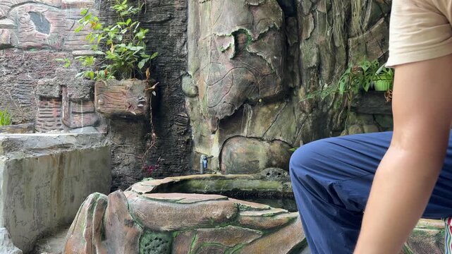 An Asian man is exercising with blue 3 kg dumbbells against a stone wall background.