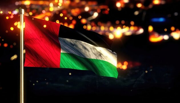 Palestinian flag waving at night city.