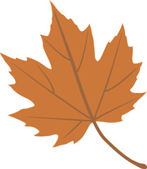 Fototapeta premium 단풍잎
